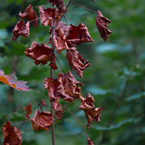 Photo #14087097