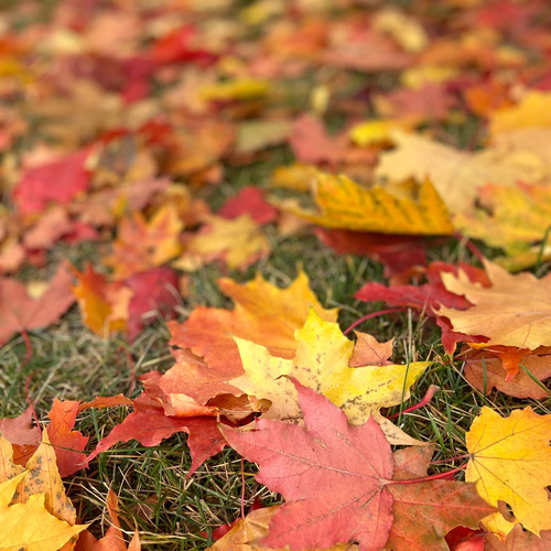 Photo #14087098