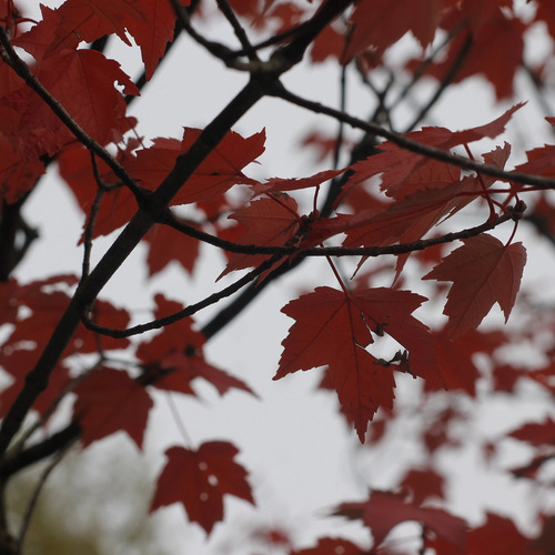 Photo #14087099