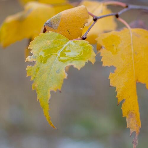 Photo #14087159