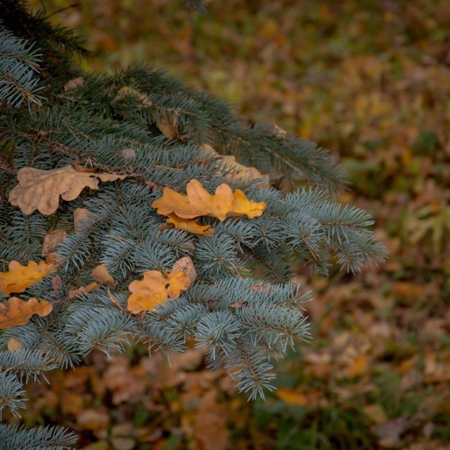 Photo #14087160