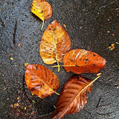 Photo #14087204