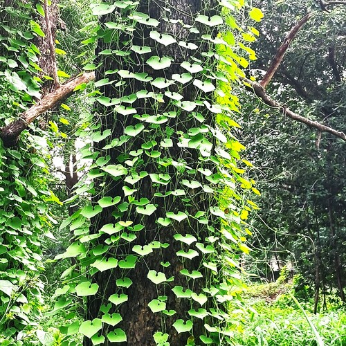 Photo #14087205