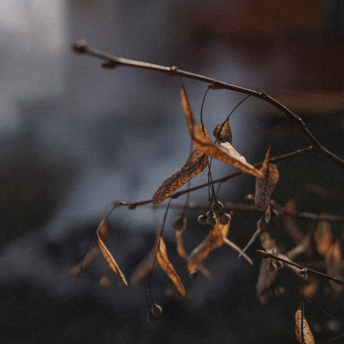 Photo #14087222
