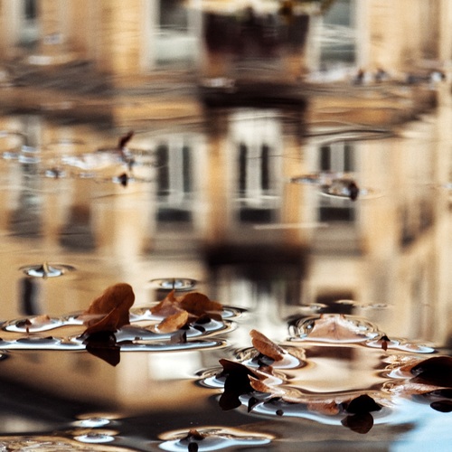 Photo #14087231