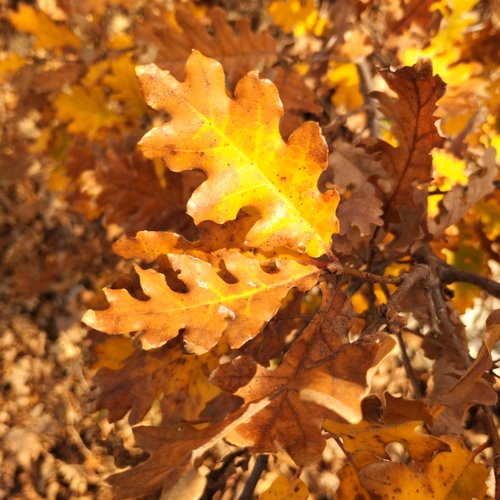 Photo #14087268