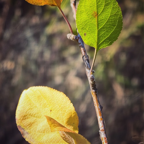 Photo #14087297