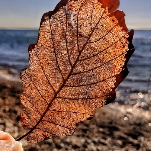 Photo #14087327