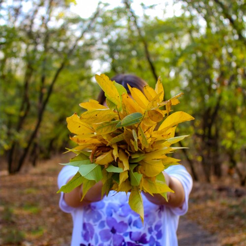 Photo #14087345