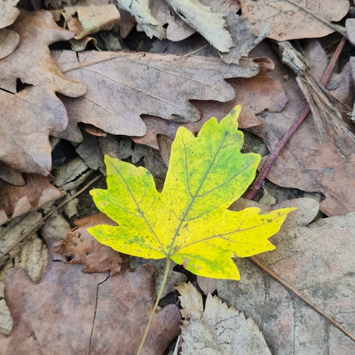 Photo #14087346