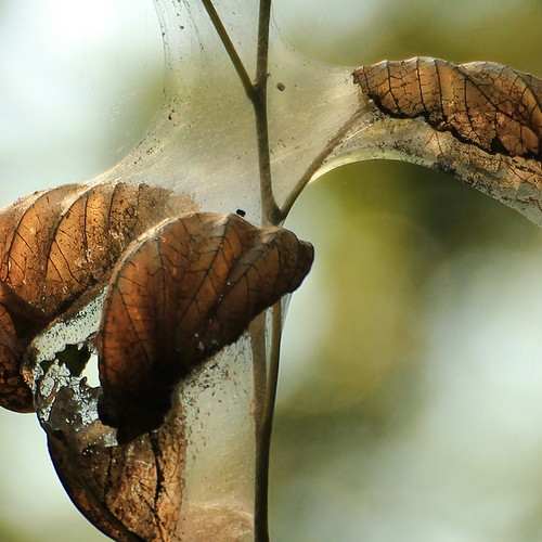 Photo #14087355