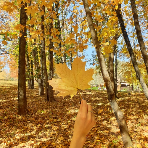 Photo #14087357