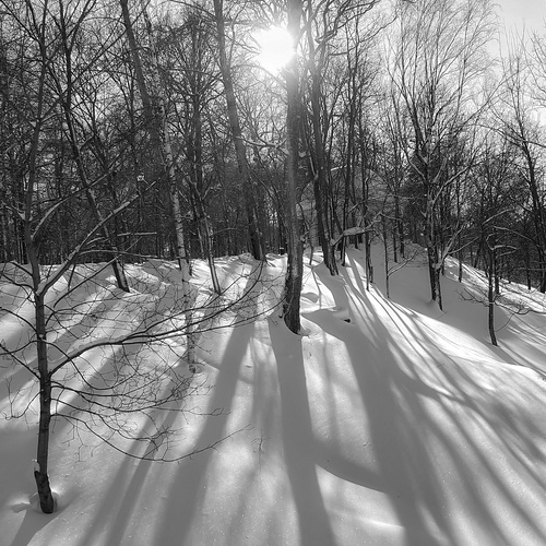 Photo #14087375