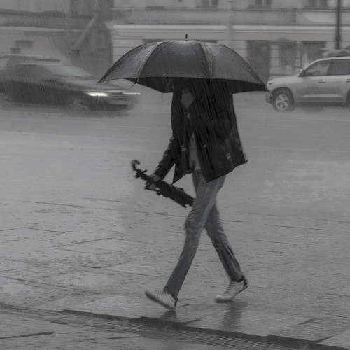 Photo #14087405