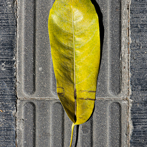 Photo #14087477