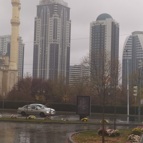 Photo #14087494