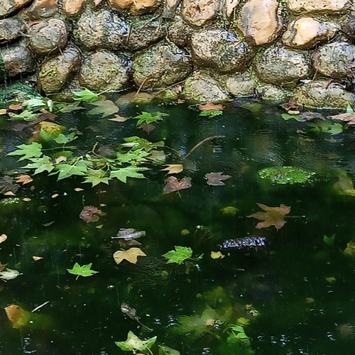 Photo #14087512