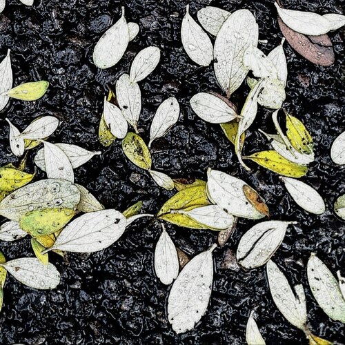 Photo #14087549