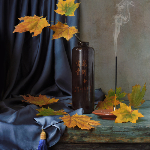 Photo #14087560