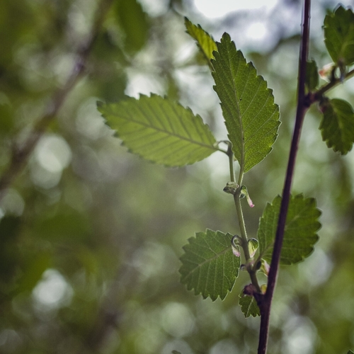 Photo #14087570