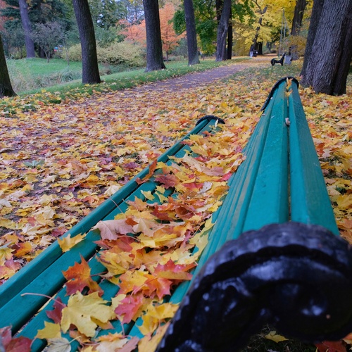 Photo #14087605