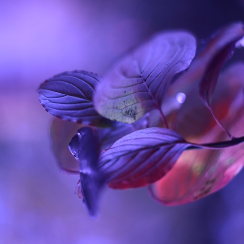 Photo #14087608
