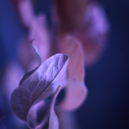 Photo #14087609