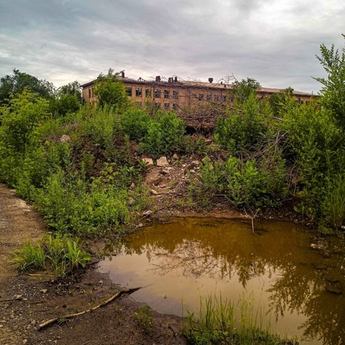 Photo #14087630