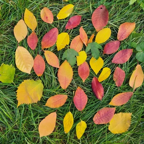 Photo #14087654