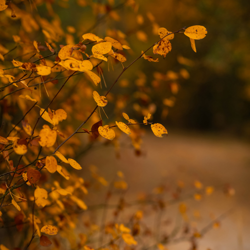 Photo #14087661