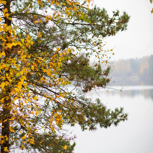 Photo #14087662