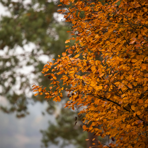 Photo #14087663