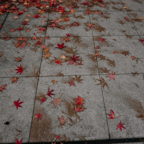 Photo #14087677