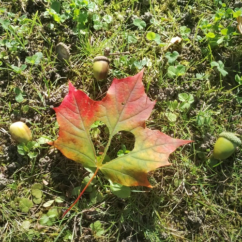 Photo #14087727