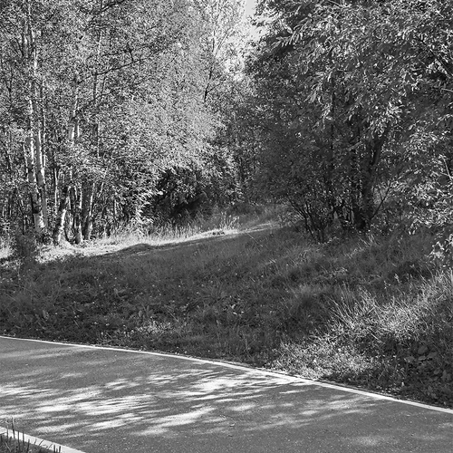 Photo #14087742