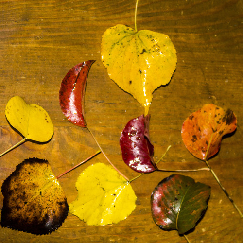 Photo #14087754