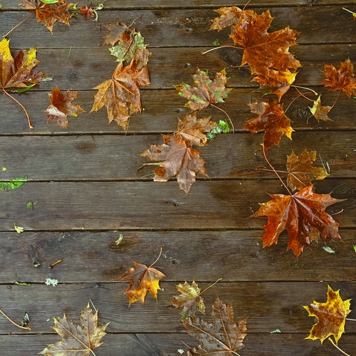 Photo #14087758