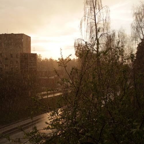 Photo #14087762