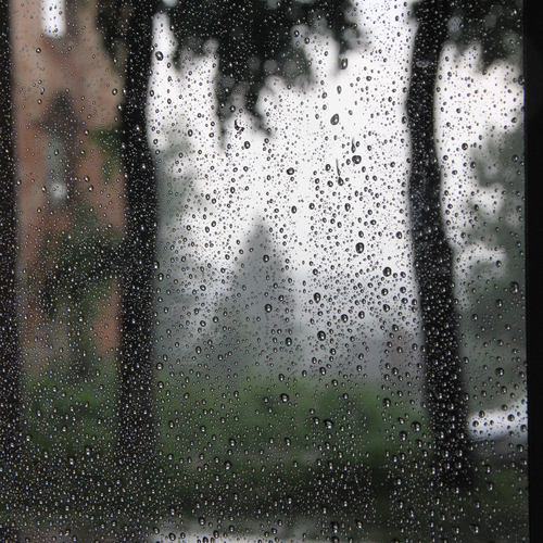Photo #14087785