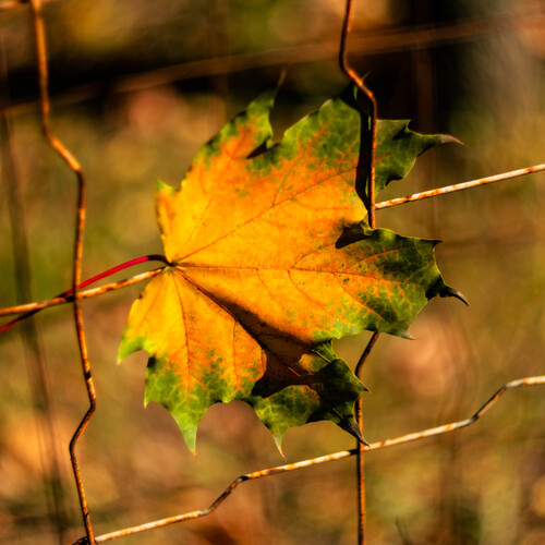 Photo #14087899