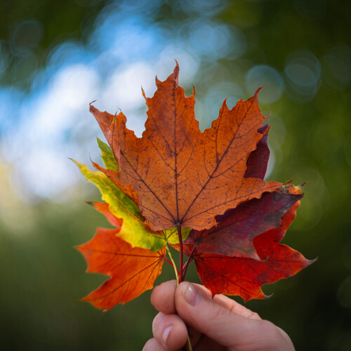 Photo #14087900