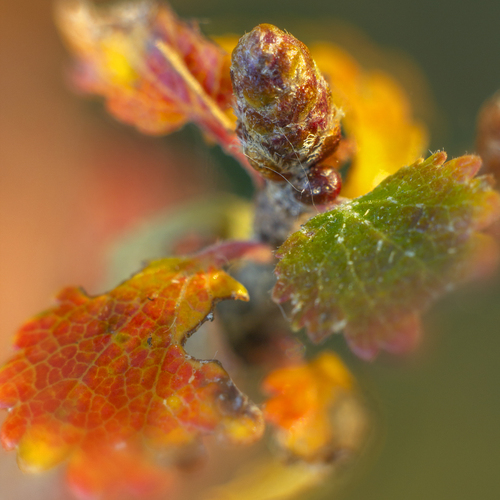 Photo #14087908