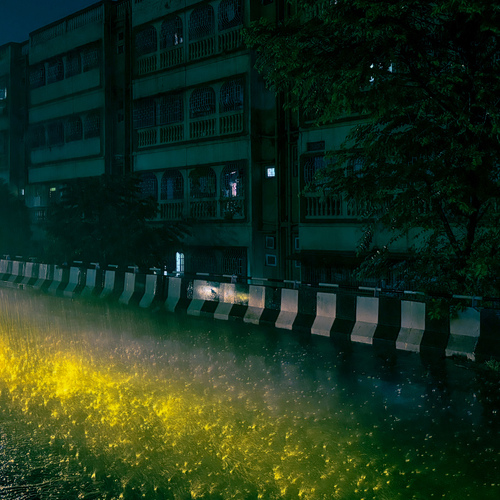 Photo #14087978