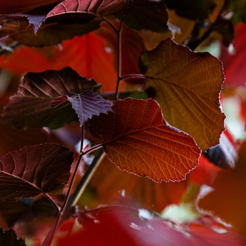 Photo #14088028
