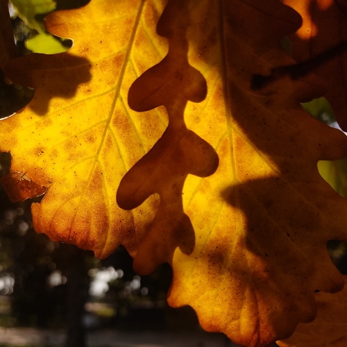 Photo #14088059
