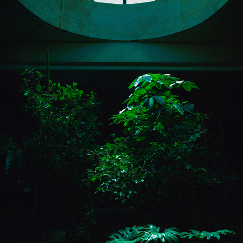 Photo #14088090