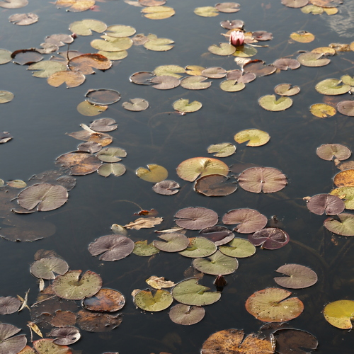 Photo #14088134