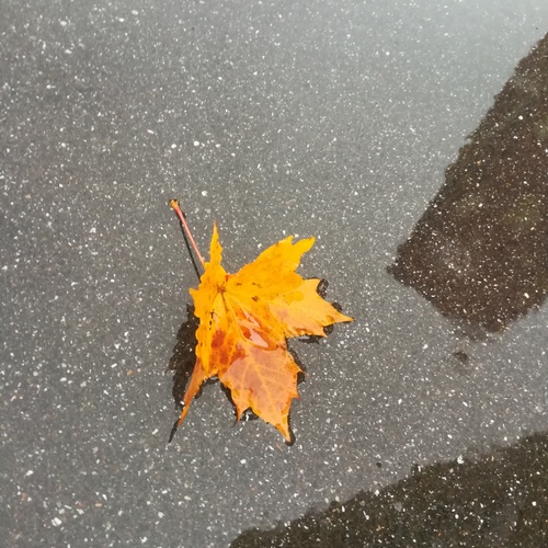 Photo #14088137