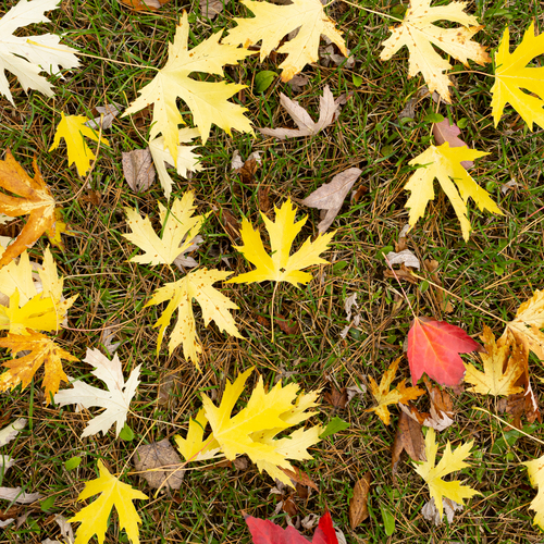 Photo #14088146