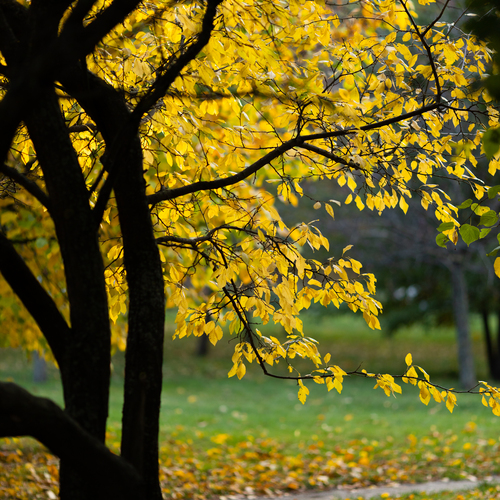 Photo #14088153
